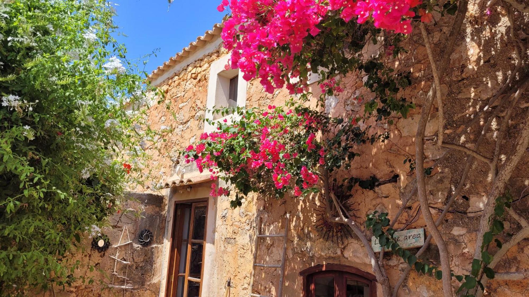 Casa Estrella Holiday home Llombarts